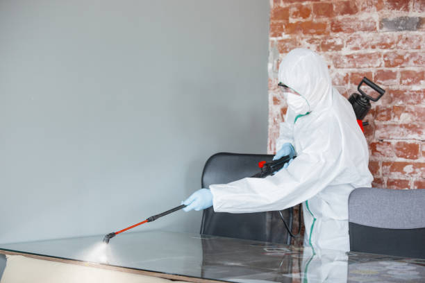 Best Asbestos and Lead Testing During Mold Inspection  in Quinlan, TX